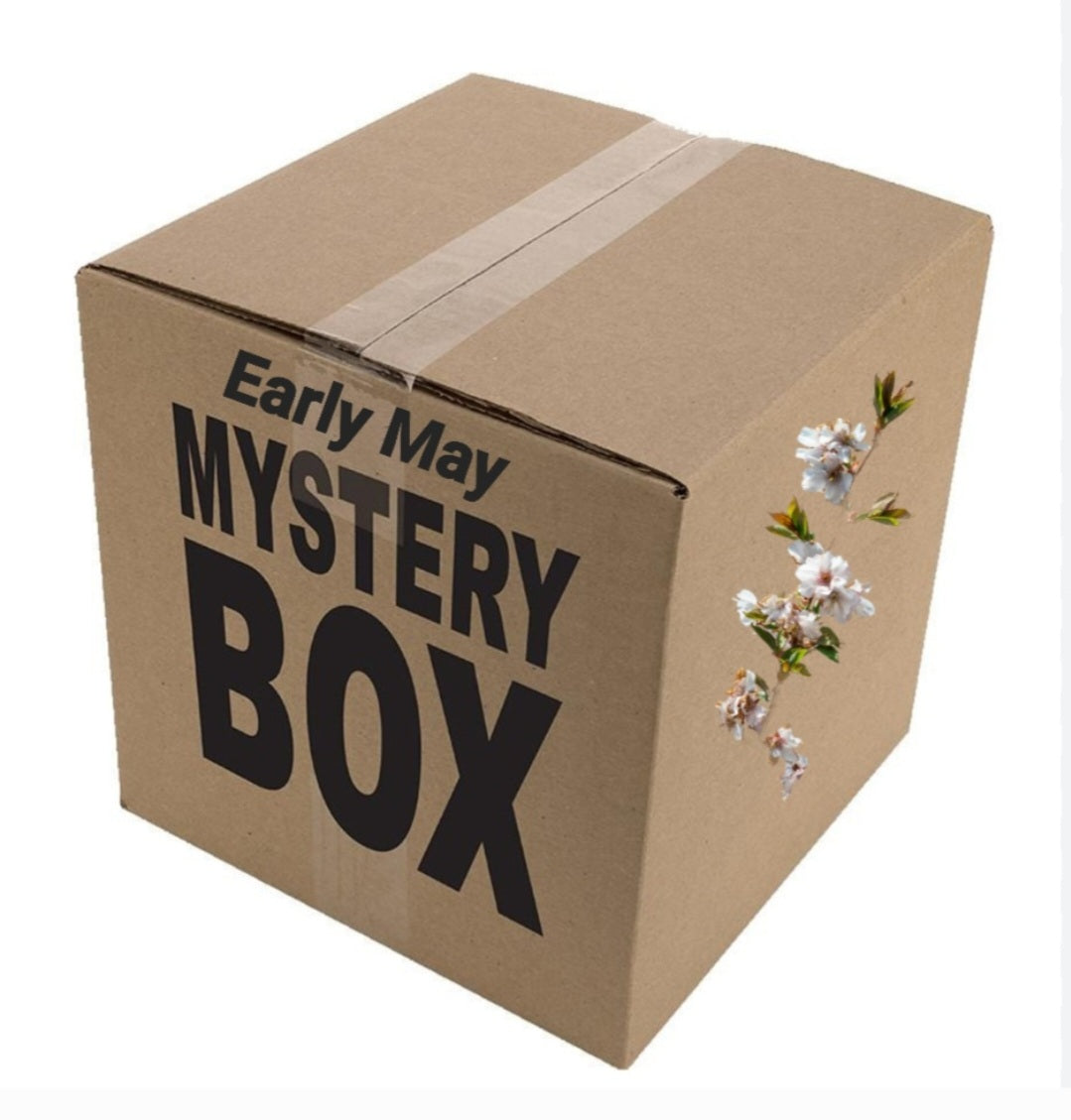 Mystery Box